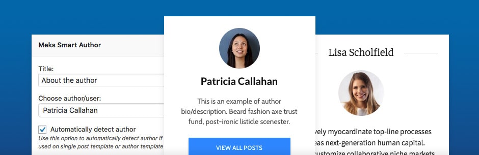 Meks Smart Author Widget - 47 Best WordPress Website Widgets to Make Your Website Feature-Rich - ULTRAdvice-min
